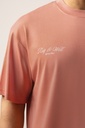 Wellness Salmon T-shirt 